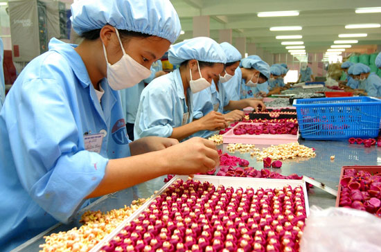 Dịch vụ xin giấy phép lao động trung quốc vào khu công nghiệp Nghệ An làm việc