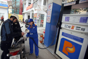 Xin giấy phép kinh doanh xăng dầu tại Nghệ An