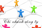 Thành lập chi nhánh công ty tại Nghệ An.