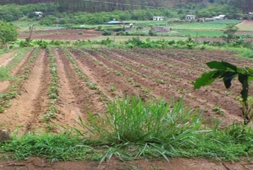 Thủ tục chuyển đổi mục đích sử dụng đất nông nghiệp thành đất ở tại Nghệ An